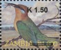 Böhm's Bee-eater (Merops boehmi)