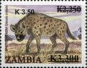 Spotted Hyena (Crocuta crocuta)