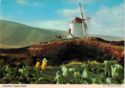 Lanzarote, windmill
