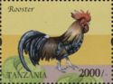 Rooster (Gallus gallus domesticus)