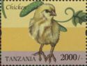 Baby Chicken (Gallus gallus domesticus)