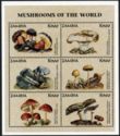 Mushrooms of the World