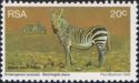 Cape Mountain Zebra (Equus zebra zebra)