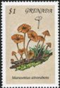 Marasmius atrorubens