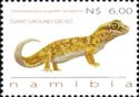 Common Giant Ground Gecko (Chondrodactylus angulifer ssp. na
