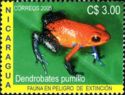 Strawberry Poison-Dart Frog (Oophaga pumilio)