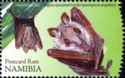 Angolan Epauletted Fruit Bat (Epomophorus angolensis)