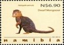 Common Dwarf Mongoose (Helogale parvula)