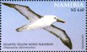 Atlantic Yellow-nosed Albatross (Diomedea chlororhynchos)