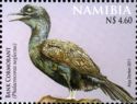 Bank Cormorant (Phalacrocorax neglectus)