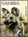 African Wild Dog (Lycaon pictus)