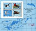 British Virgin Islands Sea Birds