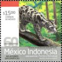 Sunda Clouded Leopard (Neofelis diardi ssp. borneensis)