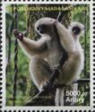 Silky Sifaka (Propithecus candidus)
