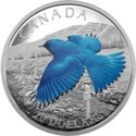 20 Dollars (The Migratory Birds Convention Series: The Mountain Bluebird)