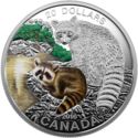 20 Dollars (Baby Animals: Raccoon)