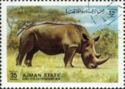 White Rhinoceros (Ceratotherium simum)