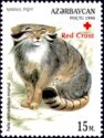 Pallas's Cat (Otocolobus felis manul) - Overprint