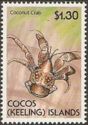 Coconut Crab (Birgus latro)