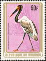 Saddle-billed Stork (Ephippiorhynchus senegalensis)