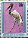 Saddle-billed Stork (Ephippiorhynchus senegalensis)