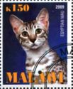 Egyptian Mau