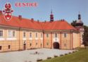 Čestice