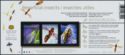 Beneficial Insects souvenir sheet