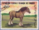 Clydesdale (Equus ferus caballus)