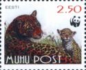 Muhu Post Leopard