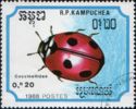 Seven-spot Ladybird (Coccinella septempunctata)
