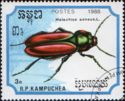 Scarlet Malachite Beetle (Malachius aeneus)