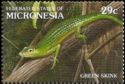 Green Tree Skink (Lamprolepis smaragdina)