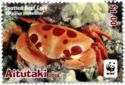 Spotted Reef Crab (Carpilius maculatus)
