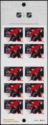 Ottawa Senators - Booklet