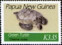 Green Sea Turtle (Chelonia mydas)