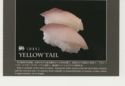 Yellow Tail