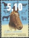 Horse (Equus ferus caballus)