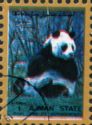 Giant Panda (Ailuropoda melanoleuca)