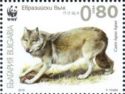 Gray Wolf (Canis lupus lupus)