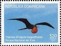 Magnificent Frigatebird (Fregata magnificens)