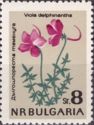Larkspur Violet (Viola delphinioides)