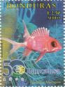 Squirrelfish (Holocentrus adscensionis)