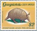 Nine-banded Armadillo (Dasypus novemcinctus)