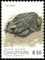Natterjack Toad (Bufo calamita)