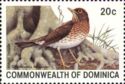 Forest Thrush (Cichlherminia lherminieri)