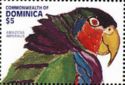 Imperial Parrot (Amazona imperialis)
