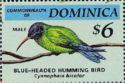 Blue-headed Hummingbird (Cyanophaia bicolor)