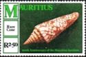 Glory of India Cone (Conus milneedwardsi)