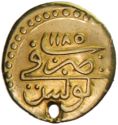 ½ Sultani (Hammered Coinage)